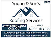 Young & Sons Roofing services logo, solar installer in Crawley