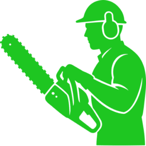 S&D Tree Surgeons logo, tree surgeon in Horndean