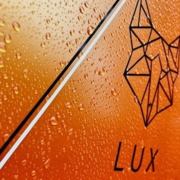 Lux Electrical Devon Ltd logo, electrician in Barnstaple