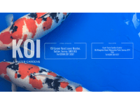 Koi Water Garden logo, fencing and gate installer in London