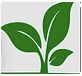 Carmen Landscapes logo, painter and decorator in Walton-on-Thames