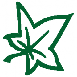 Arbor Venture logo, tree surgeon in Tiptoe