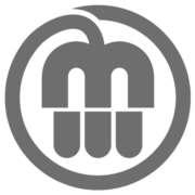 MW Electrical Services logo, EV charger installer in Ryde