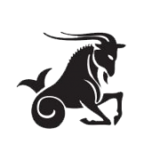 CAPRICORN WINDOWS logo, window fitter in Liverpool