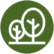 Matthew Wilkins Landscapes Ltd logo, landscaper in Bournemouth