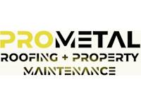 Pro Metal Roofing and Maintenance Ltd logo, roofer in Winchester
