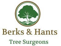 Berks & Hants Tree Surgeons logo, tree surgeon in Basingstoke