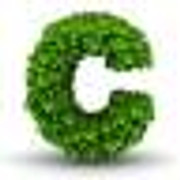 Cox Landscapes Ltd logo, landscaper in Colchester