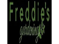 Freddies Gardening logo, gardener in London