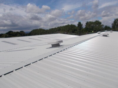 Blenheim Roofing Services Ltd, roofer in Epsom