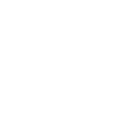 Leyden Electrical Installations logo, EV charger installer in Stotfold