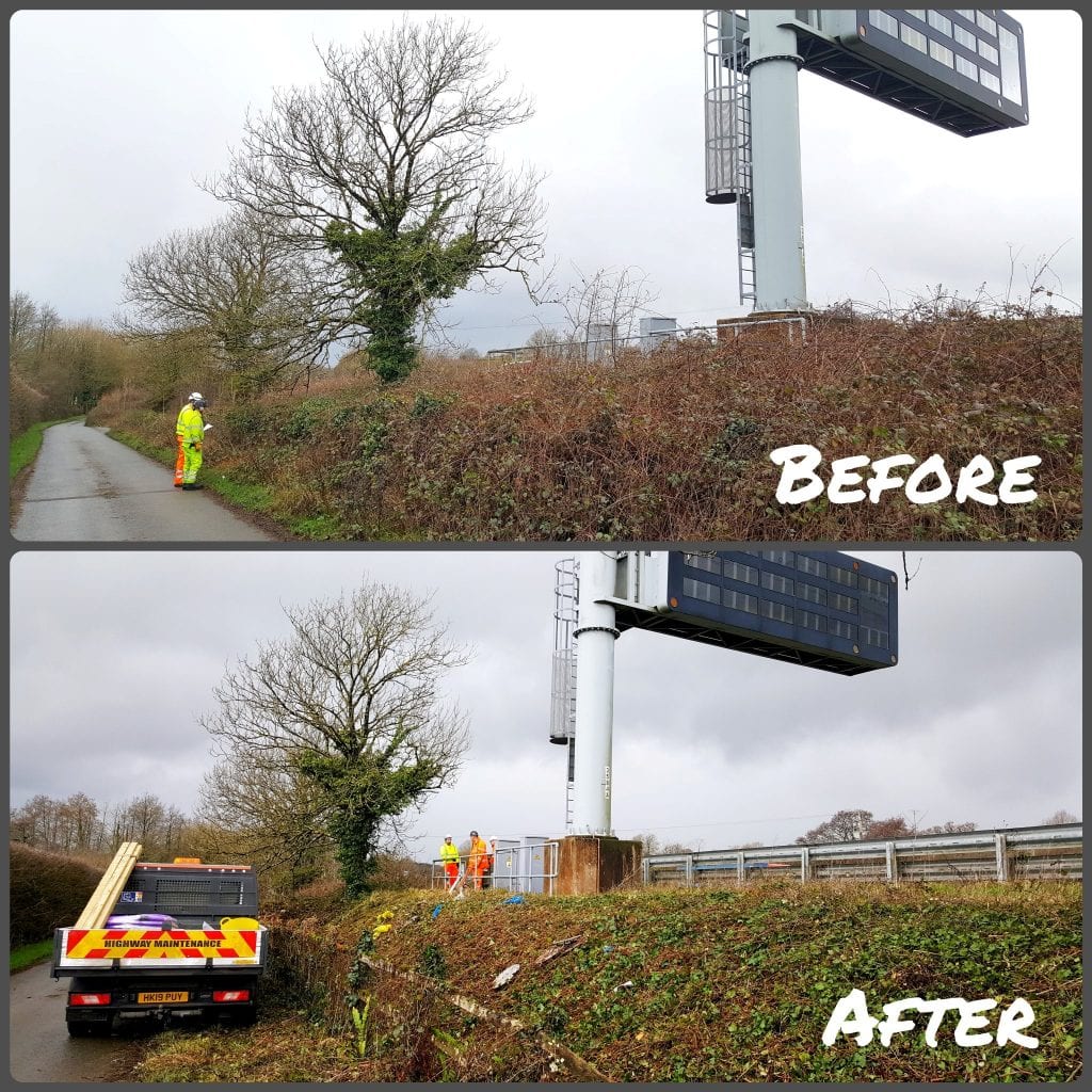 Alan Brind Tree Services, tree surgeon in Locks Heath