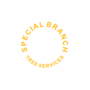 Special Branch Tree Services Ltd logo, tree surgeon in Blackfield and Langley