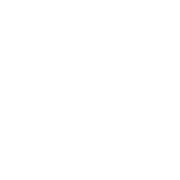 Peninsula Electrical Services Ltd. logo, electrician in Birkenhead