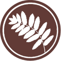 Kustom Landscapes & Ecology logo, damp proofer in Bournemouth