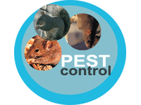 Bust a Bug logo, pest controller in Ryde