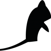 Countrywide Pest Control - Reading logo, pest controller in Reading