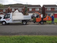 Cleveland Garden and Tree Care logo, tree surgeon in Middlesbrough