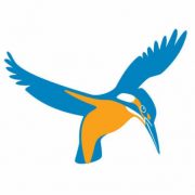 Kingfisher Electrics Ltd logo, EV charger installer in Brighton and Hove