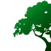H-W Tree Surgeons Ltd logo, tree surgeon in Eastleigh