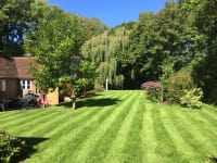 Surrey County Grounds Maintenance logo, plasterer in Banstead