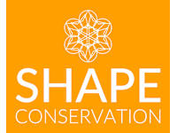 Shape Conservation logo, plasterer in Wimborne Minster