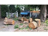 M G M Tree Surgeons logo, tree surgeon in Walton-on-Thames