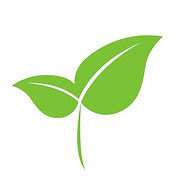 Landscapewell Ltd logo, landscaper in Banstead
