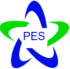Professional Energy Solutions Ltd logo, solar installer in Ashford