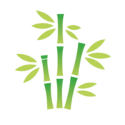 Bamboo Landscapes Ltd logo, landscaper in Poole