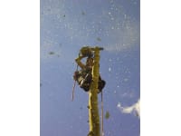 Nick Matthews Tree Services logo, tree surgeon in Dorking