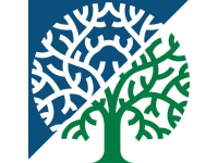 Dryad Tree Specialists Ltd logo, tree surgeon in Wood Street Village