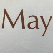 MayBird Electrics logo, EV charger installer in Highsted