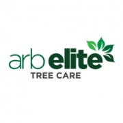 Arb Elite Tree Care logo, tree surgeon in Fareham