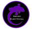 Gecko Electrical Services Ltd logo, electrician