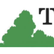 tree surgery in colchester logo, tree surgeon in Colchester