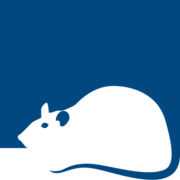 PESTUK Pest Control Services logo, pest controller in Camberley