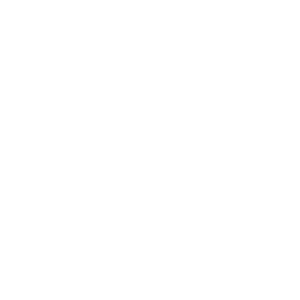 Landex Ltd logo, gas engineer in Ipswich