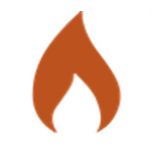 Hayes Domestic and Commercial Gas Ltd logo, gas engineer in Stockton-on-Tees