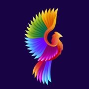 Bristol Phoenix Group Ltd logo, electrician in Bristol