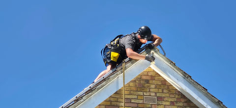Lost Puffin Access (LPA), pest controller in Fareham