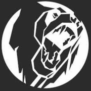 Bear Electrical Contractors Ltd logo, electrician
