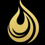 Polden Plumbing & Heating logo, plumber in Folkestone