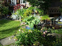 Greenfingas Garden Services logo, gardener in London