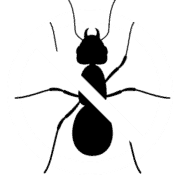 Optimum Pest Control Services logo, pest controller in Middlesbrough