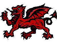 Dragon Pest Control logo, pest controller in Treorchy