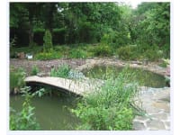 The Pondlife Co logo, landscaper in Caterham