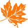 Fosters Tree Surgeons Ltd logo, tree surgeon in Eastleigh