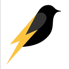Nightingale Electrical logo, EV charger installer in Monmouth