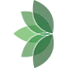 Treestyle Arboriculture, Tree Surgeon Manchester logo, tree surgeon in Stretford